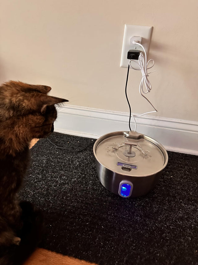 DIANU stainless steel pet fountain customer photo