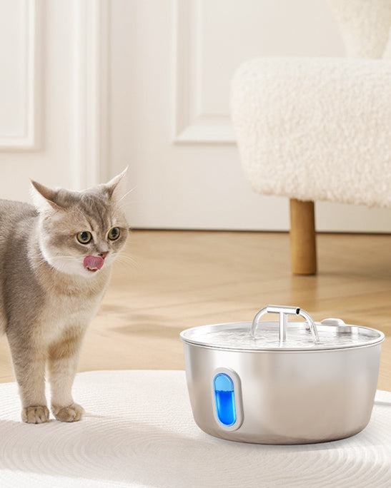 DIANU stainless steel pet fountain customer photo